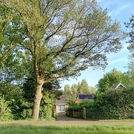 Ruim Huisje Op Een Prachtige Plek Hemrik Bagian luar foto
