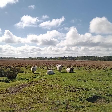 Ruim Huisje Op Een Prachtige Plek Hemrik Bagian luar foto
