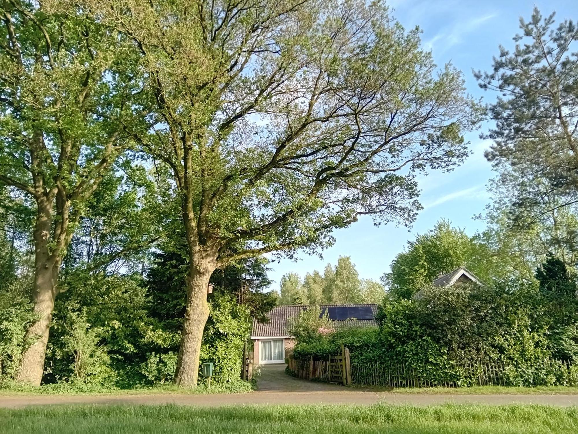 Ruim Huisje Op Een Prachtige Plek Hemrik Bagian luar foto