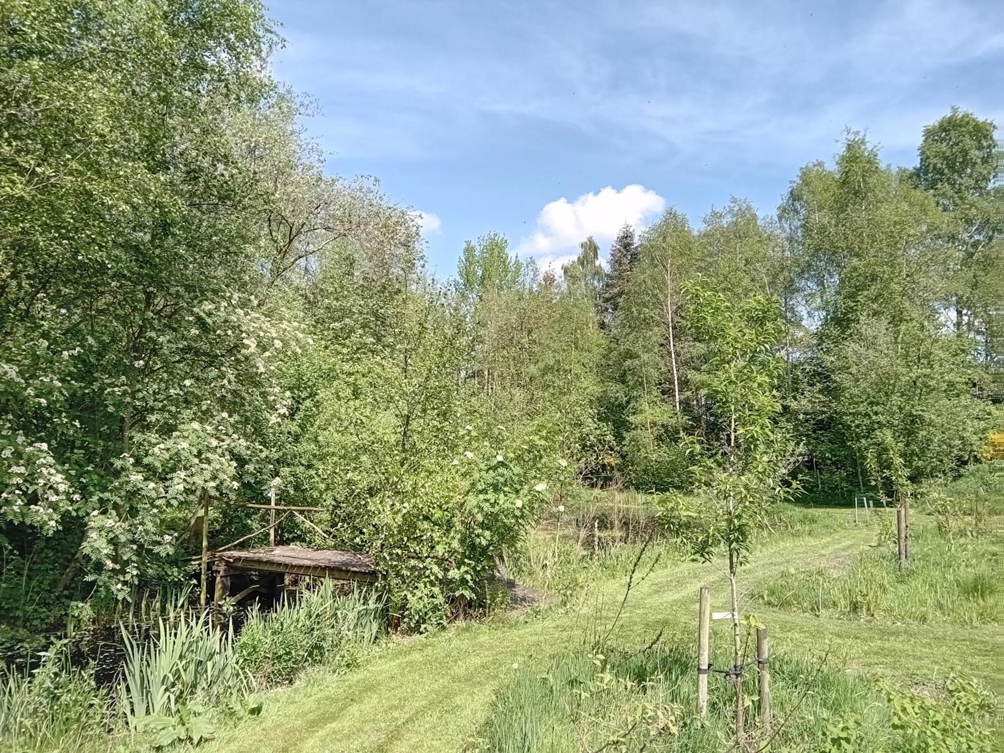 Ruim Huisje Op Een Prachtige Plek Hemrik Bagian luar foto
