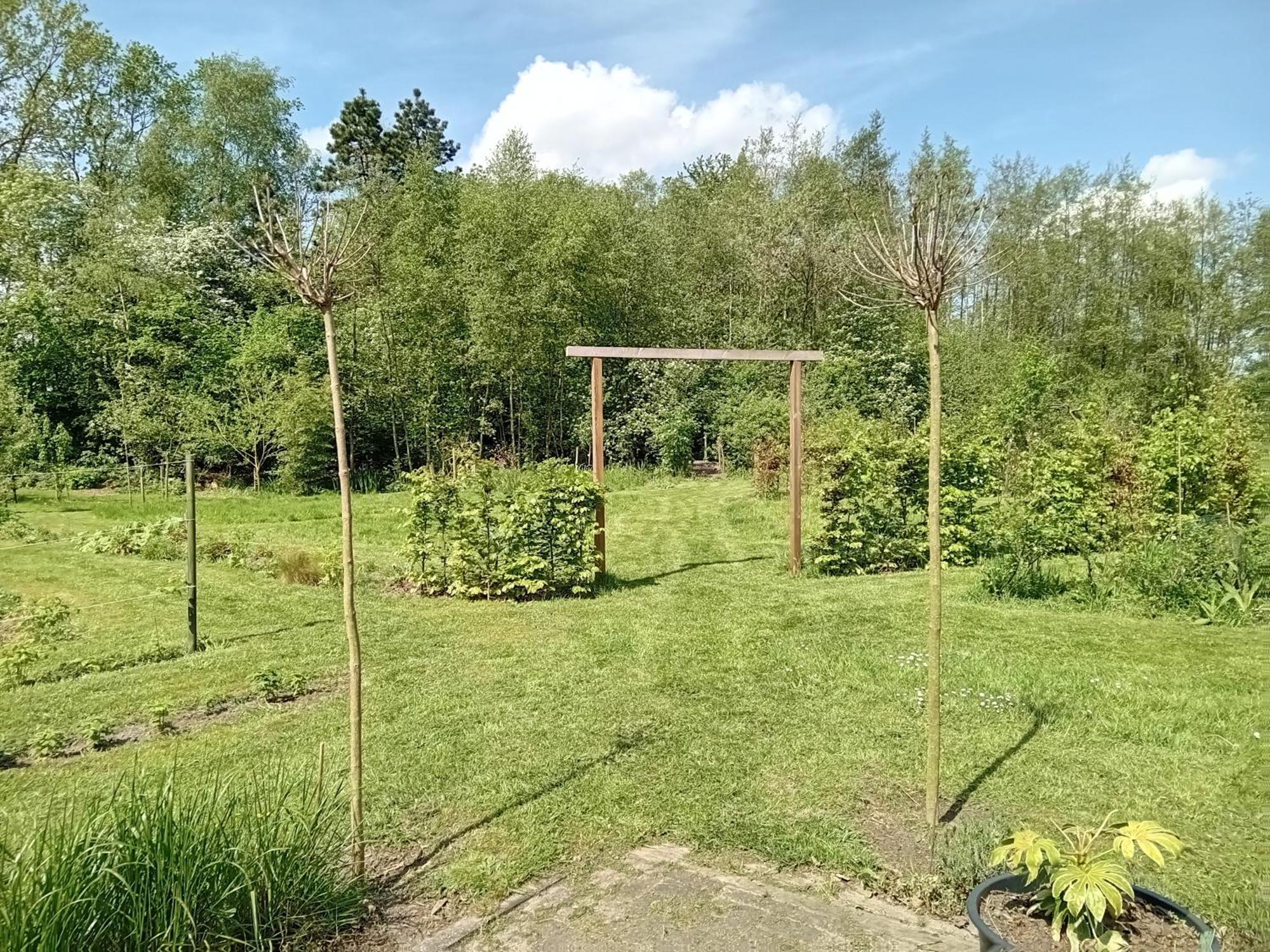 Ruim Huisje Op Een Prachtige Plek Hemrik Bagian luar foto